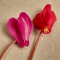 alpeviol rød pink plastik kunstige blomster gamle retroblomster genbrug